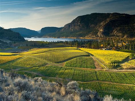 Gorgeous Vineyards Across the Globe - Photos - Condé Nast Traveler