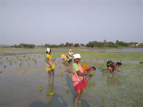 Contextualising life histories in Tamil Nadu - STEPS Centre