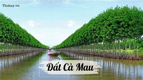 Đất Cà Mau Lớp 5: Nội Dung Tập Đọc + Soạn Bài + Cảm Thụ