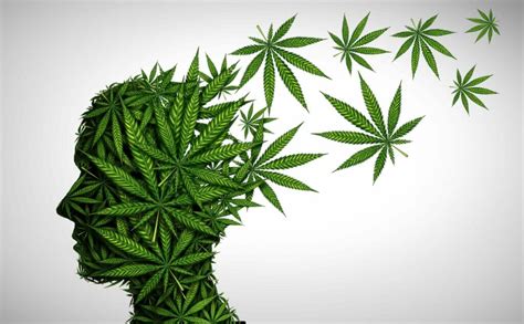 How Does Marijuana Use Affect the Brain and Body?