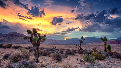 Desert monsoon, Red Rock Canyon, Las Vegas, Nevada, USA | Windows Spotlight Images