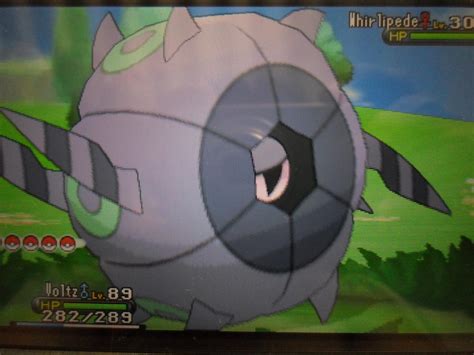 Finally! Shiny Whirlipede and a better quality poc! :P Should I evolve it or not? : r/ShinyPokemon