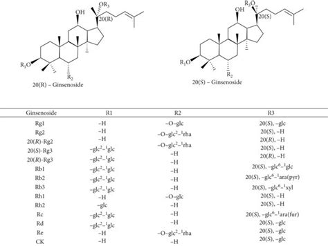 Structures of main ginsenosides. The figure shows the molecular ...