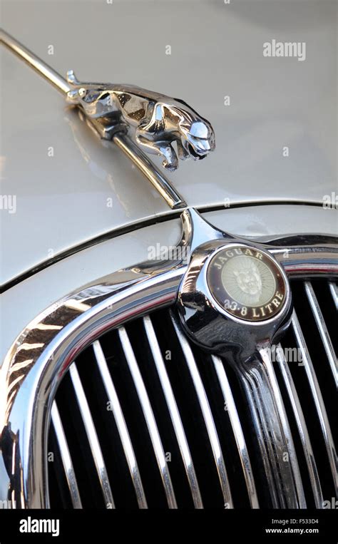 Jaguar Vintage Car, Hood Ornament Stock Photo - Alamy