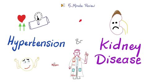 Hypertension & Kidney Disease | Renovascular Hypertension vs ...