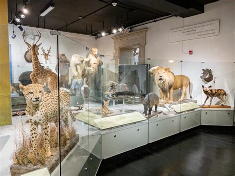 What It's Like to Visit the Buffalo Museum of Science - Uncovering New York