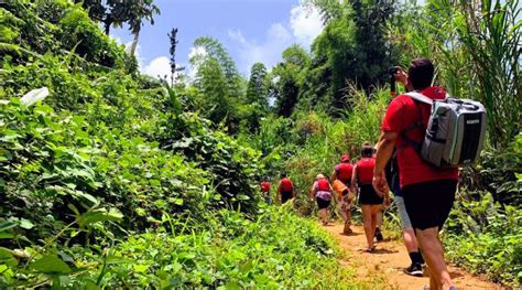 The National Rainforest El Yunque Hiking Tour | TICKETS HERE!