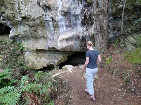 Waipu Caves | These caves supposedly have nice stalactites a… | Flickr