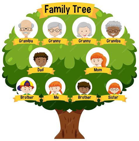 prendere un farmaco Simmetria Amplificare arbol genealogico gratis Disciplinare porcellana Magazzino