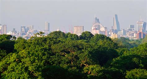 Skyline - May 2014 - Central London from Richmond Park | Flickr