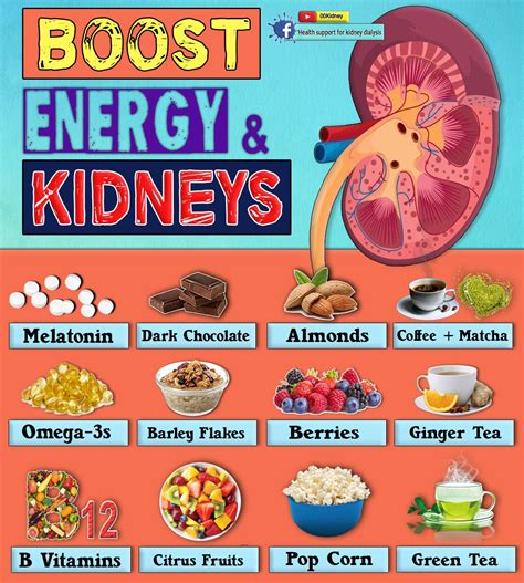 #kidneydisease Kidney Dialysis, Kidney Disease Diet, Kidney Cancer, Food For Kidney Health ...