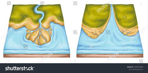 3.928 Deltas Estuaries Bilder, Stockfotos und Vektorgrafiken | Shutterstock