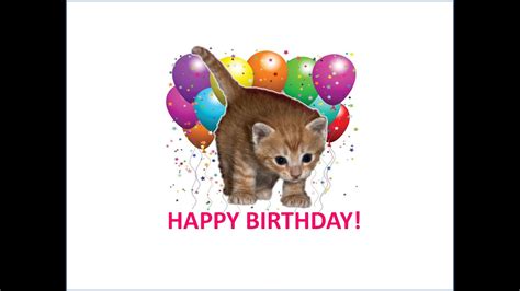 Small cat singing happy birthday - YouTube