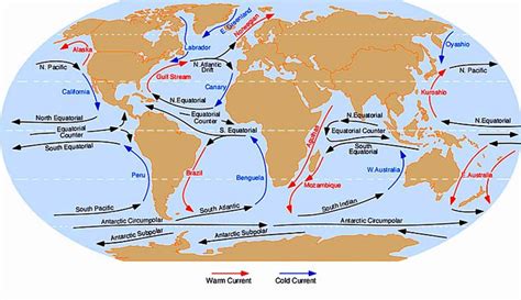 Guide to the world's ocean currents | Weather2Travel.com | Ocean ...