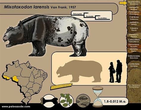 Mixotoxodon | Animales de la prehistoria, Animales prehistóricos, Animales misticos