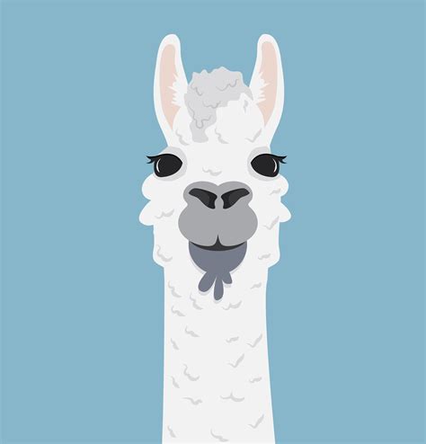 Cartoon Alpaca Images - Lama Alpaca Alpaga Ritratto Vectorillustratie ...