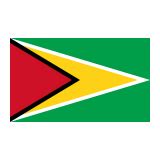 🇬🇾 Flag: Guyana Emoji Meaning with Pictures: from A to Z