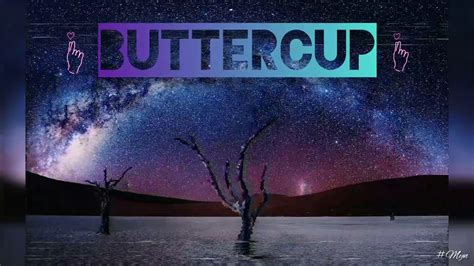 Buttercup - Jack Stauber || Lyric Video - YouTube