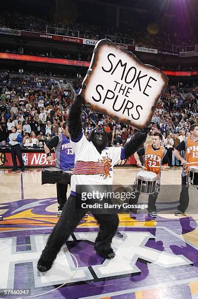 447 The Phoenix Suns Gorilla Photos & High Res Pictures - Getty Images