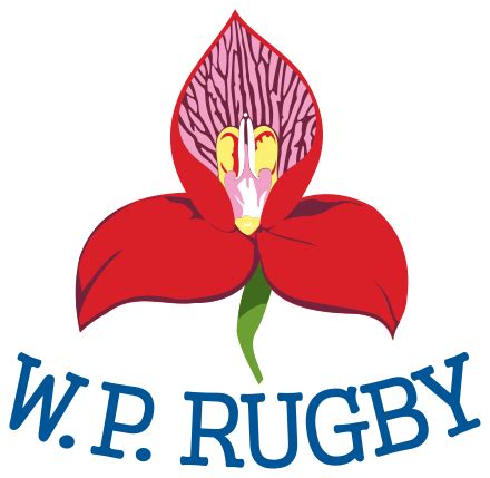 Western Province (rugby union) - Wikipedia