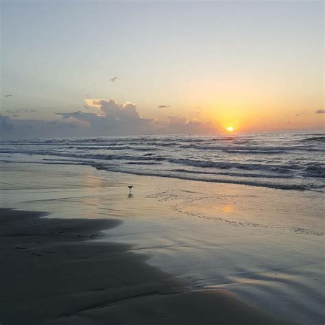 Aransas Pass, Tx | Ocean, Sea shells, Aransas pass