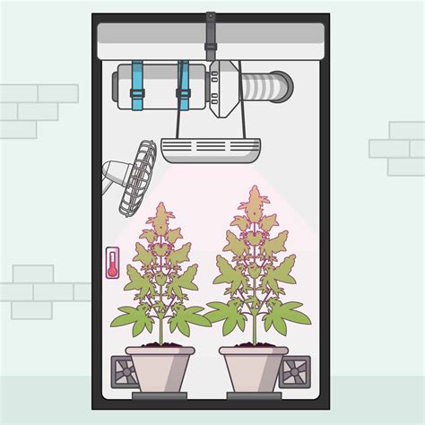 Best Way To Grow Weed Indoors (KISS: Keep It Simple, Stupid) - Grow ...