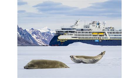 6 Seals to Spot in the Southern Ocean | Lindblad Expeditions