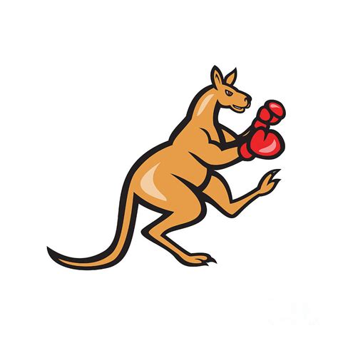 Kangaroo Kick Boxer Boxing Cartoon Digital Art by Aloysius Patrimonio