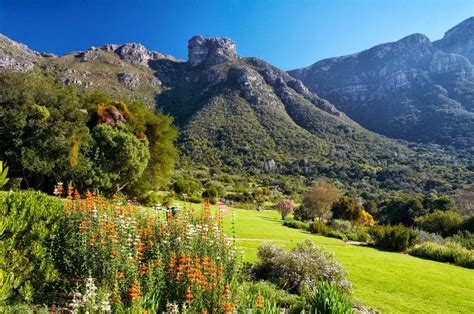 Kirstenbosch Gardens Entrance Fee - Local SA Citizen - Cape Town - South Africa