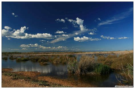 Delta del Ebro, descubriendo su paisaje - NaturaScape