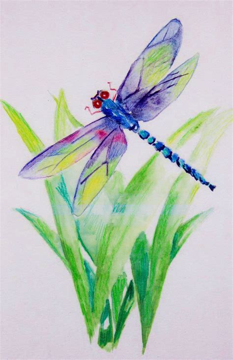 Elizabeth Grbic Butterfly Art Painting Dragonfly Art Watercolor | My ...