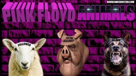 PINK FLOYD ANIMALS PHOTO WORK - EURO·FOLK·RADIO