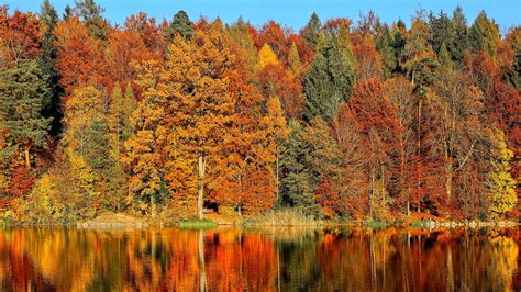 How Climate Affects the Look and Feel of Fall | Blog | Nature | PBS