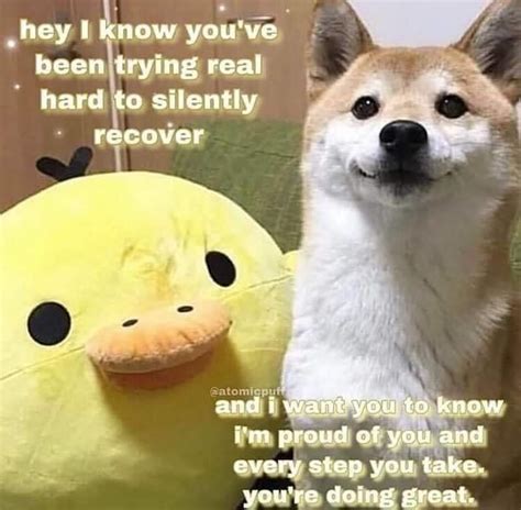 I'm proud of you | /r/wholesomememes | Wholesome Memes | Know Your Meme