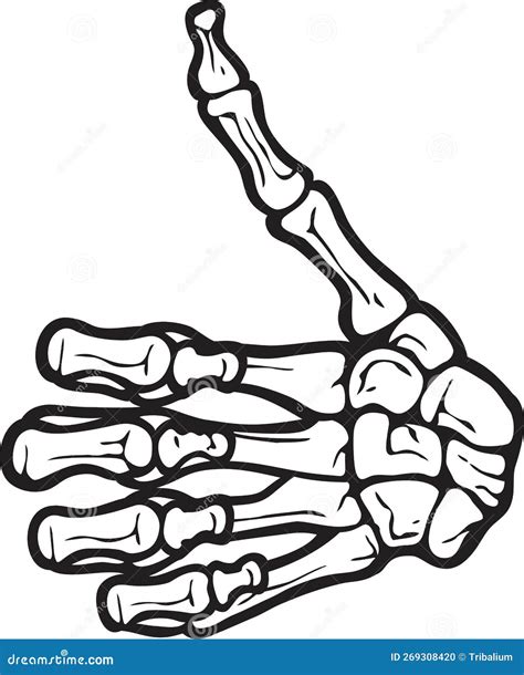 Skeleton Hand Gesture Thumb Up. OK Gesture Stock Vector - Illustration ...