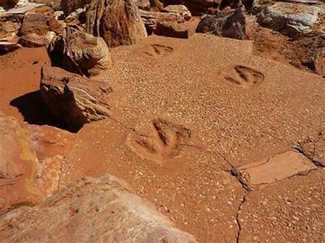 Gantheaume Point in Broome, Western Australia, is home to dinosaur footprints more than 130 ...