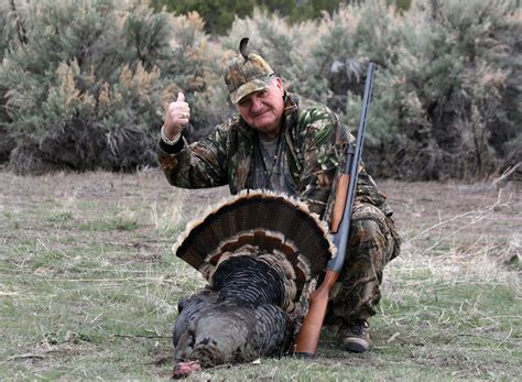 Turkey hunt starts in May; turkey numbers growing – St George News