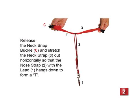 Fitting Instructions | Gentle Leader® Canada