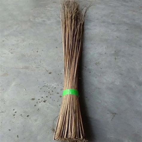 Coconut Stick Broom at Rs 40/piece | Ludhiana | ID: 2849036414730