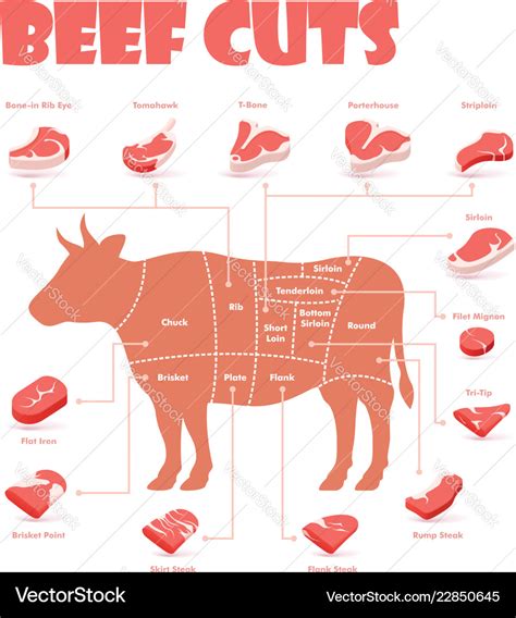 Beef Cuts Chart Printable | TUTORE.ORG - Master of Documents