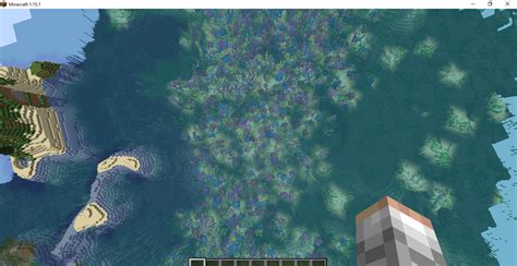 Giant coral reef (seed in comments) : r/minecraftseeds