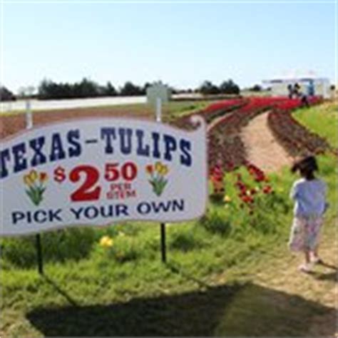 Texas-Tulips - 85 Photos & 26 Reviews - Botanical Gardens - 10656 FM ...