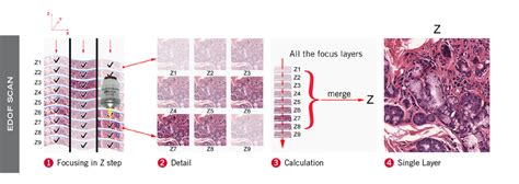 Motic EasyScan Pro 6 Digital Slide Scanner- 6 slide capacity – Miller Microscopes