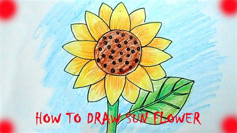 HOW TO DRAW SUN FLOWER - YouTube