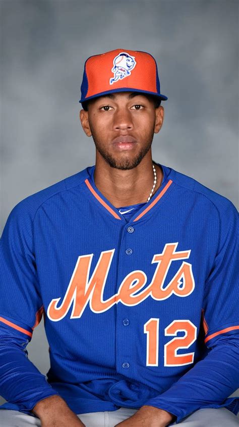 Mets highly-touted prospect Amed Rosario joins B-Mets