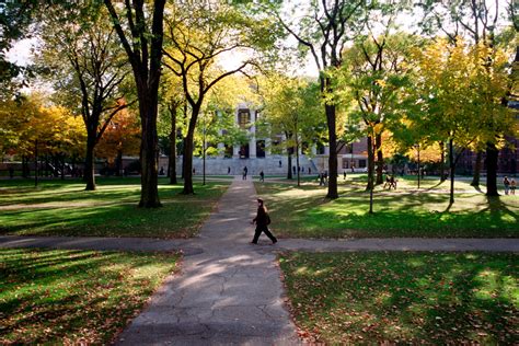 Harvard plans full return to campus life — Harvard Gazette