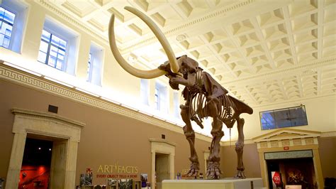 Buffalo Museum of Science in Buffalo, New York | Expedia.ca