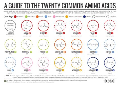 Easy Amino Acid Chart : r/Mcat