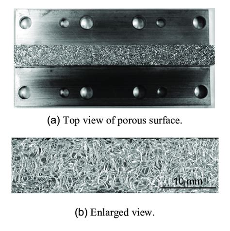 The pictures of porous surface. | Download Scientific Diagram