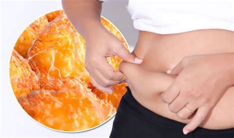 How to get rid of subcutaneous fat: Foods to help reduce love handles - eggs, meat, nuts ...